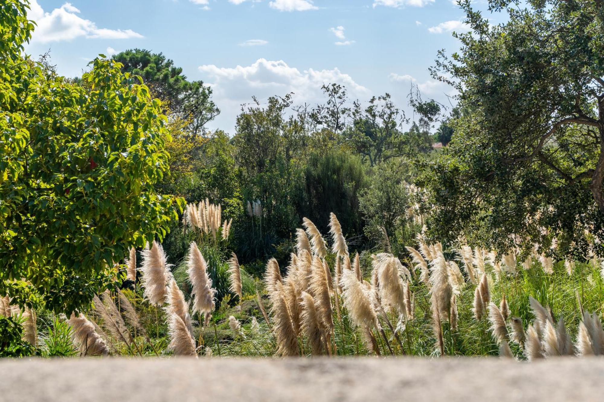 Résidence Domaine De Caranella Porto-Vecchio  Extérieur photo